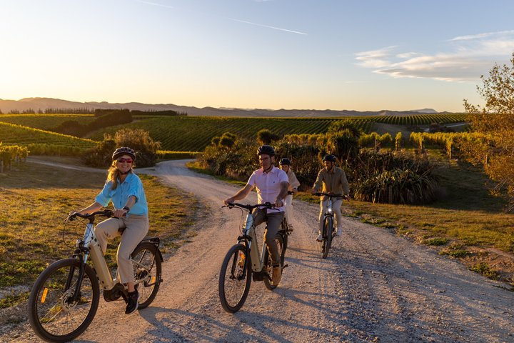 Morning Guided with Afternoon Self-Guided Biking Wine Tour - Photo 1 of 9